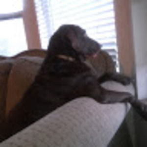 Meet your Posher, Teri